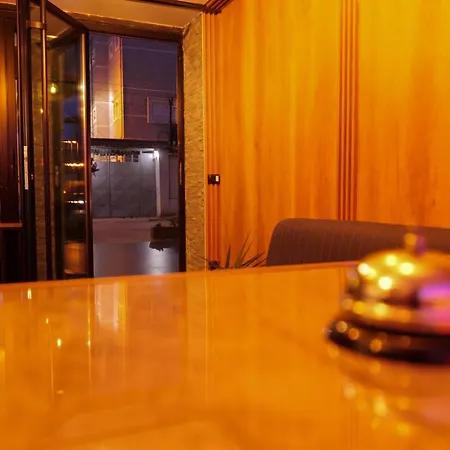Villa313