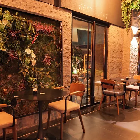 Villa313 فندق
