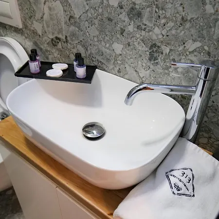 Villa313